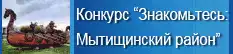 Конкурс 2015 Знакомьтесь Мытищинский район